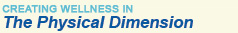 Creating Wellness in The Physical Dimension