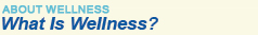 About Wellness - What Is Wellness?