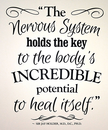 The nervous system holds the key to the body's incredible potential to heal itself. - Sir Jay Holder, M.D., D.C., PhD.